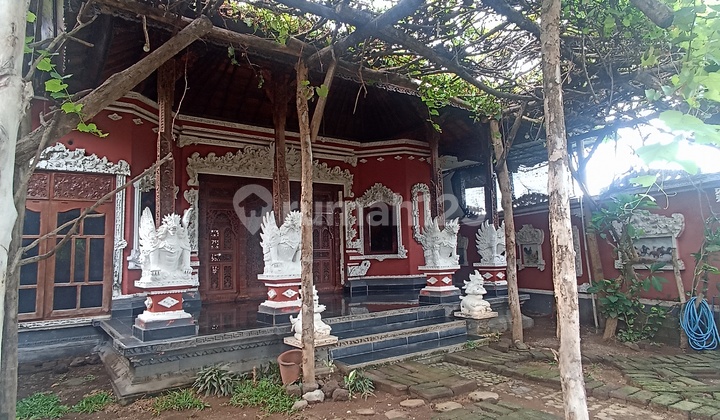 Pa159 For Sale: Balinese Style House and Wooden House with Rice Field and Hill View