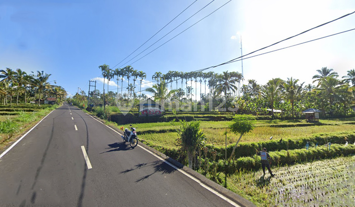 Pa148 Dijual Tanah Luas 12 Are Cocok untuk Vila Payangan, Gianyar Pa148 Dijual Tanah Luas 12 Are Cocok untuk Vila Payangan, Gianyar