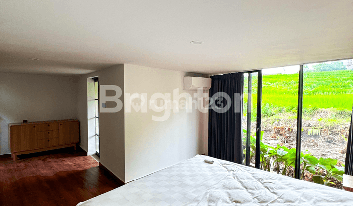 Villa 2 Bedroom Full Furnished View Sawah Abadi Padonan Canggu 2