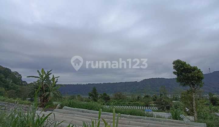 Pa164 Dijual Tanah Kebun View Danau Buyan di Pancasari Bedugul Pa164 Dijual Tanah Kebun View Danau Buyan di Pancasari Bedugul