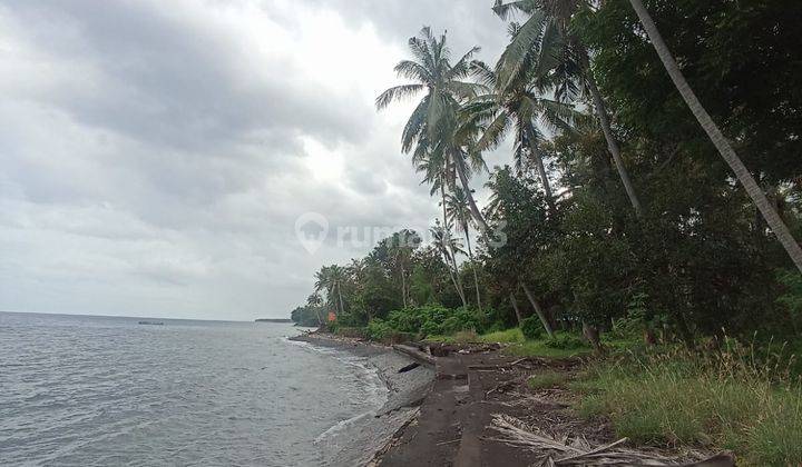 Dijual Tanah Luas 168 Are Pinggir Pantai di Sambirenteng Buleleng 1