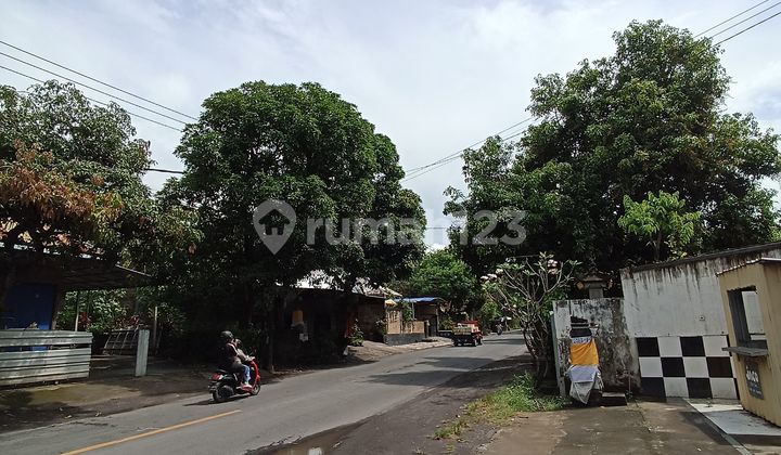 Cheap Land on the Side of the Main Road in Tejakula Buleleng