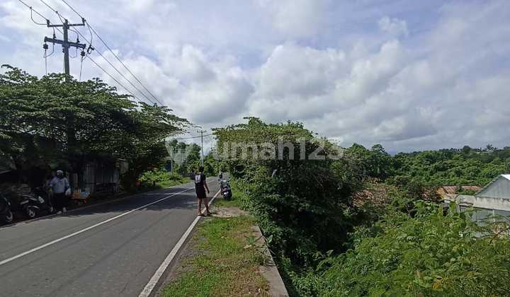 Pa100 Dijual Tanah Murah Pinggir Jalan di Kubutambahan, Buleleng Pa100 Dijual Tanah Murah Pinggir Jalan di Kubutambahan, Buleleng