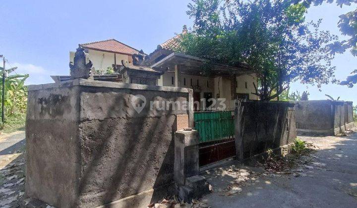 Pa08 Rumah Sederhana Dan Nyaman Daerah Pemaron Buleleng 1