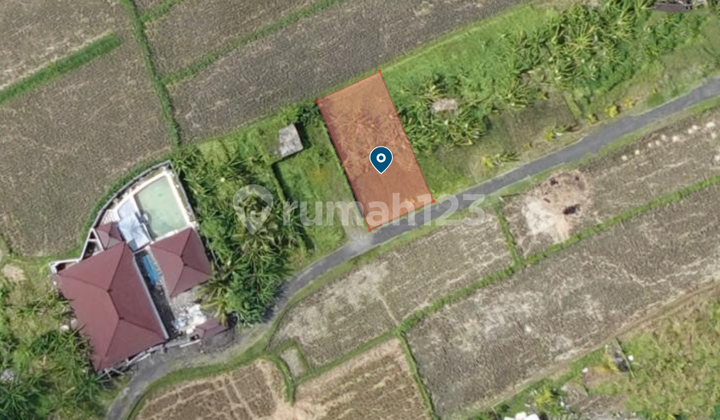 For Rent: Land Plot to Build a Villa at Cucukan Beach, Gianyar For Rent: Land Plot to Build a Villa at Cucukan Beach, Gianyar