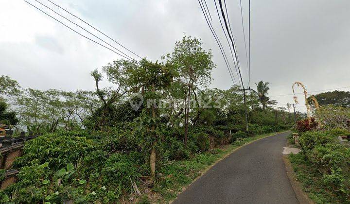 Dijual Tanah Kebun Kopi Produktif 385 are di Pucaksari Buleleng 1