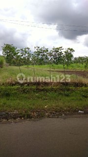 B118 Dijual Rumah 3 Lantai Ada Rooftop View Gunung Arjuno Jl.teluk Blimbing Malang  3