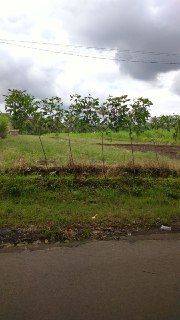 B118 Dijual Rumah 3 Lantai Ada Rooftop View Gunung Arjuno Jl.teluk Blimbing Malang  5
