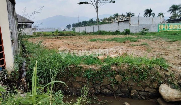 Dijual Lahan Tanah Padat Dijalur Jalan Provinsi Dijual Lahan Tanah Padat Dijalur Jalan Provinsi