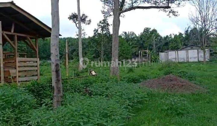 Tanah lengkap dengan surat ijin berusaha di Ciranjang 2