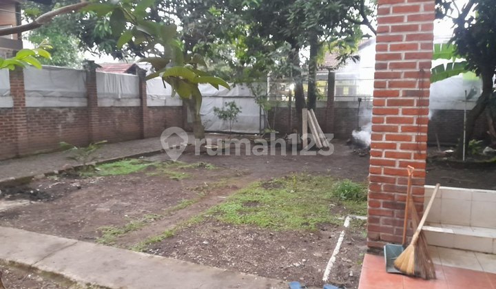 Disewakan Rumah Berikut Kavling Luas Di T K I 2 Patung Kuda Disewakan Rumah Berikut Kavling Luas Di T K I 2 Patung Kuda