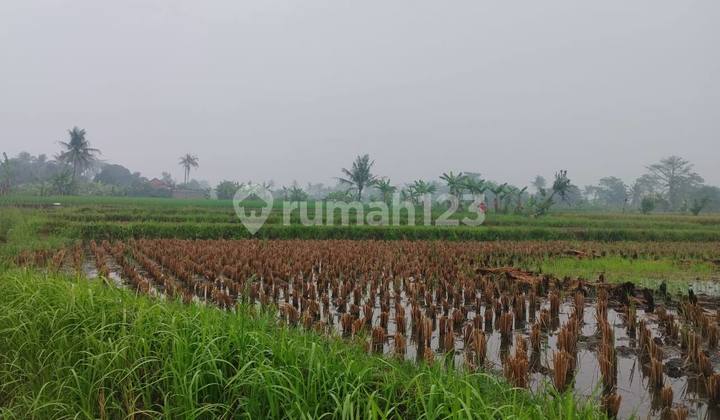 Land For Sale, Spacious For Business In Cianjur Land For Sale, Spacious For Business In Cianjur