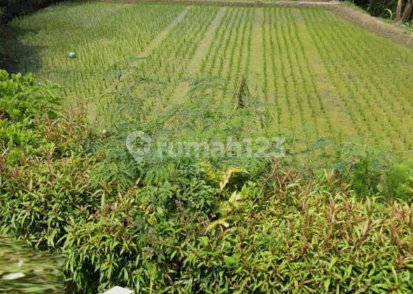 Dijual Tanah Di Citatah Padalarang