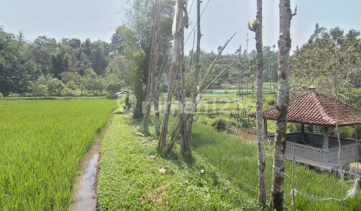 Dijual Villa Dan Tanah Kosong Lokasi : Pasirjambu