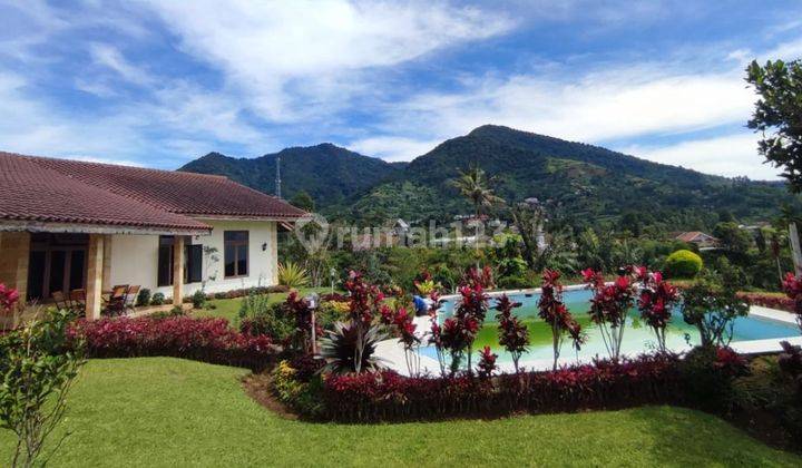 Runah Villa Collibah, 5000m2 Di Puncak, Cipanas Nyaman Dan Ngangenin  1