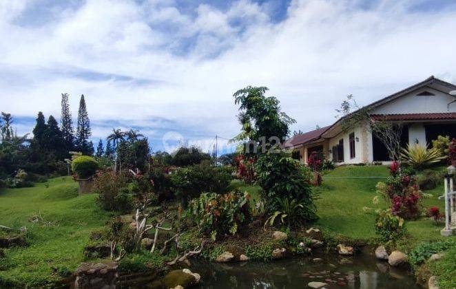 Runah Villa Collibah, 5000m2 Di Puncak, Cipanas Nyaman Dan Ngangenin  2