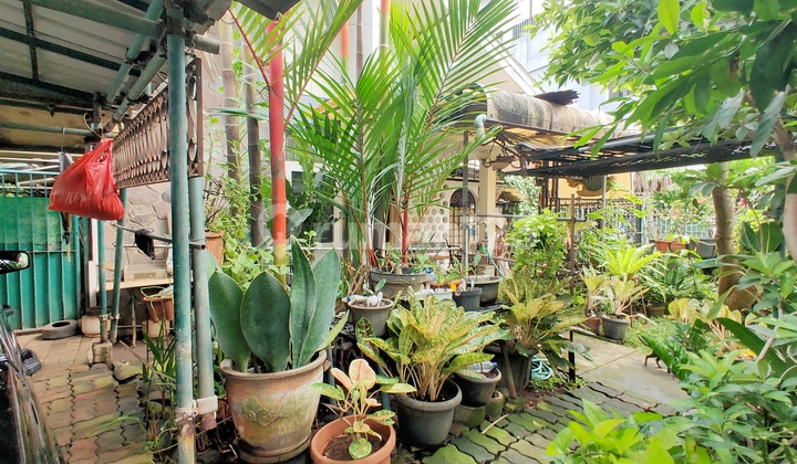 Rumah luas dan murah di Tomang Grogol Petamburan Jakarta Barat 2