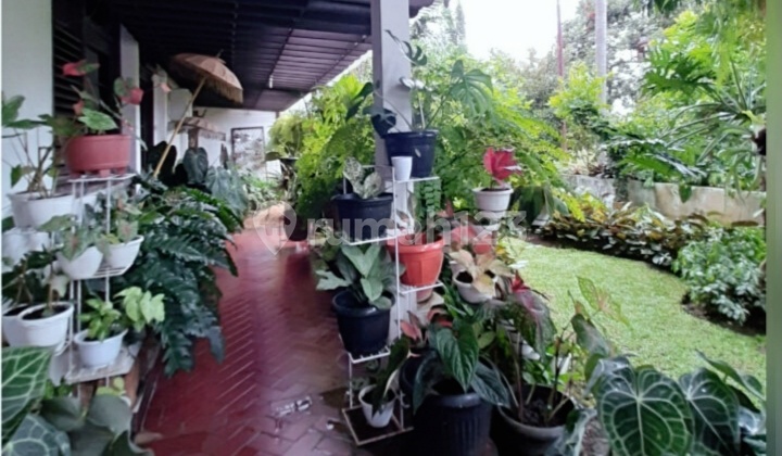 Ready-to-Occupy House and Spacious Yard @Bintaro 2