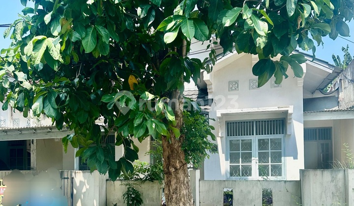 Harga Investor! Rumah Luas di Bintaro Sektor 5 Dekat Stan