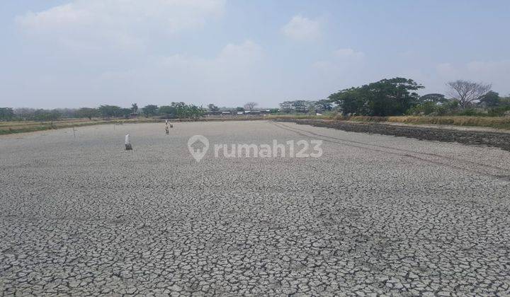 Tanah Murah Raya Bungah Gresik 2