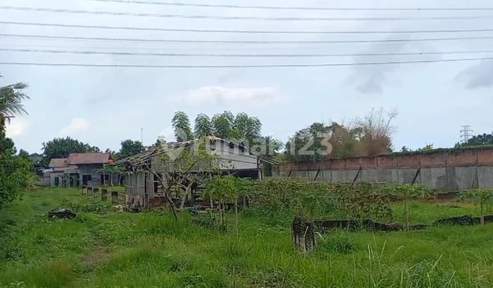 DIsewakan Tanah Kavling Super Luas dan sudah ada fondasi ! DIsewakan Tanah Kavling Super Luas dan sudah ada fondasi !