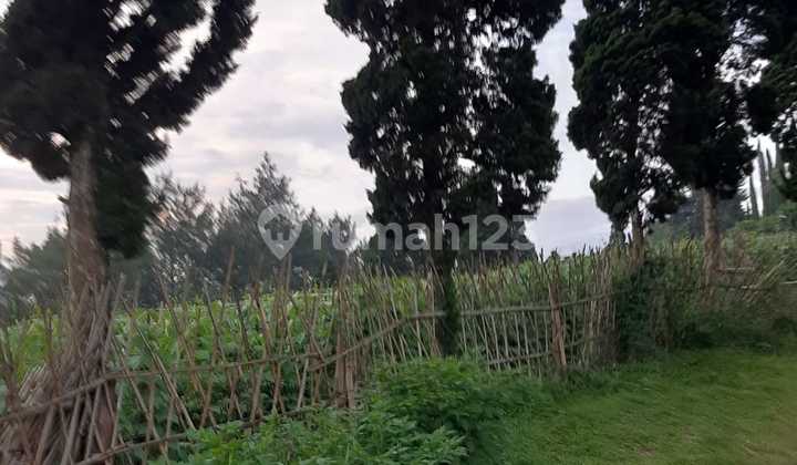 Tanah Luas Cocok Dijadikan Tempat Wisata di Maribaya, Lembang