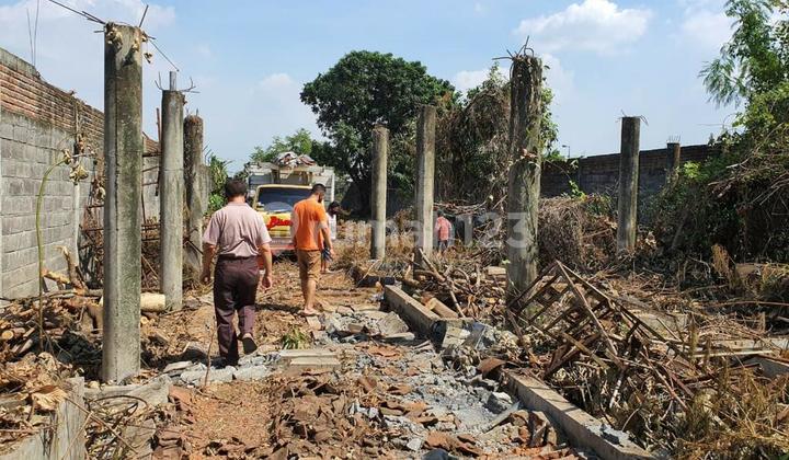 kavling mojosari, kedung bendo., bisa untuk rumah walet