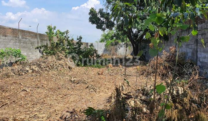 kavling mojosari, kedung bendo., bisa untuk rumah walet