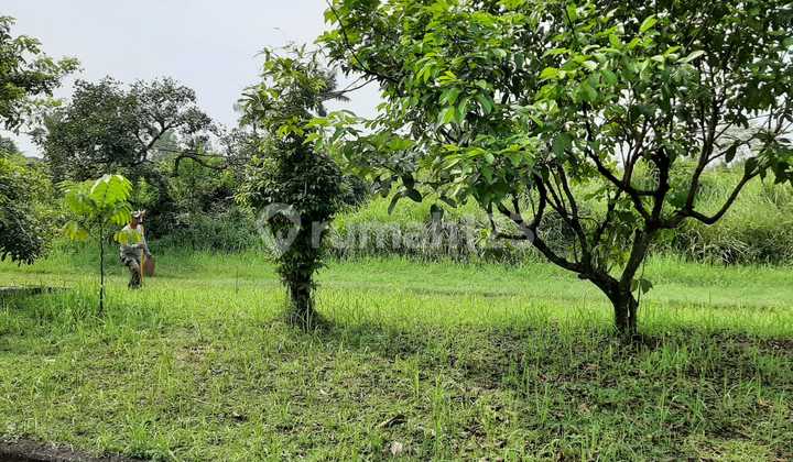 Kavling Bogor Rumah Pandan Valley, 345M2 Strategis, Pusat Kota