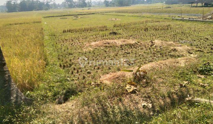 Tanah Untuk Perumahan Subsidi Cihampelas Bandung Barat 1