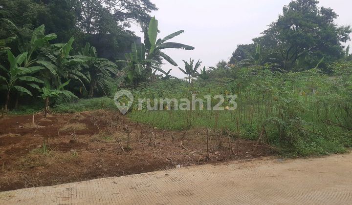 Tanah Darat Dekat Kantor Kecamatan Tajurhalang Dan Selangkah Ke Jln Baru Bomang