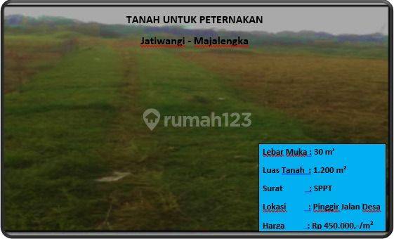 Tanah Untuk Peternakan 1