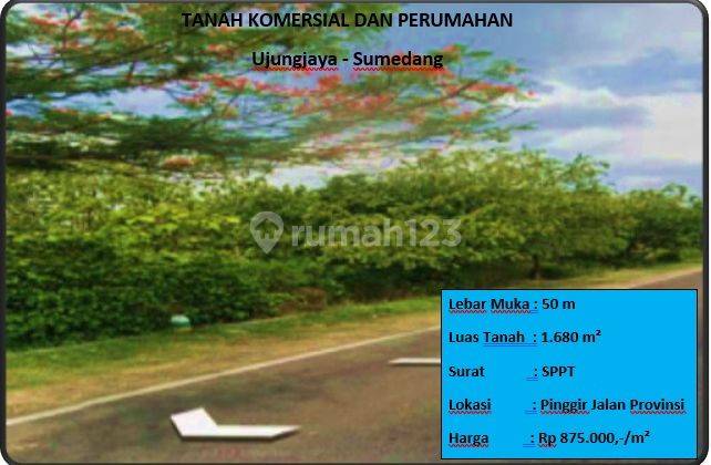 Tanqh Komersial Dan Perumahan 1