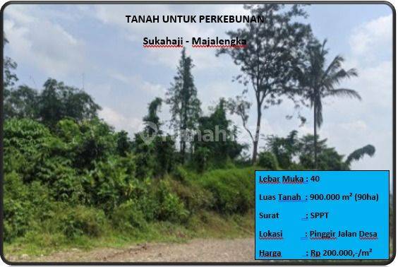 Tanah Untuk Perkebunan 1