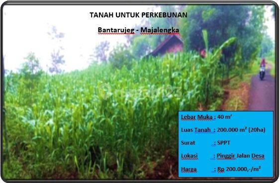 Tanah Untuk Perkebunan 1