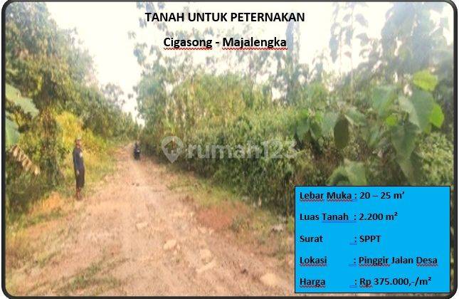 Tanah Untuk Peternakan 1