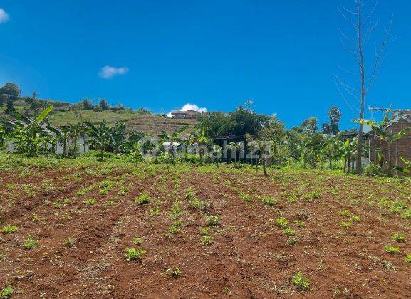 Tanah di Jl. Padasuka Cibeunying Kidul, Bandung SHM 116 m² 4