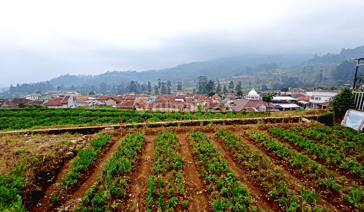 Tanah di Kawasan Wisata Ciwidey, Bandung SHM 595 m² 2