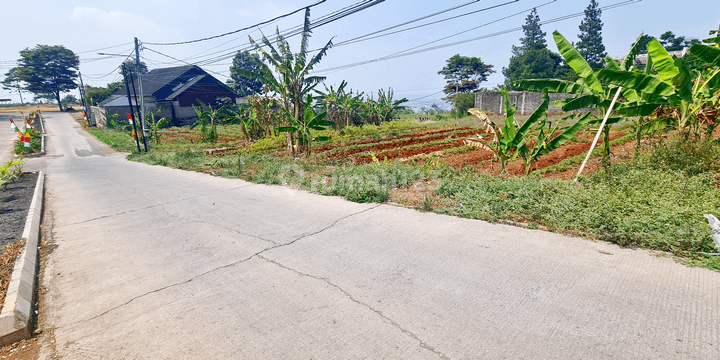 Tanah di Jogja Area Kulon Progo Dekat Polsek Panjatan 1