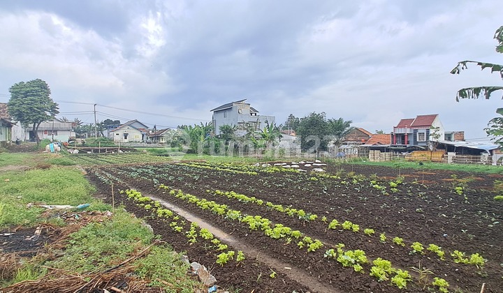 Dijual Tanah Murah SHM Dekat Taman Kupu kupu Cihanjuang 7
