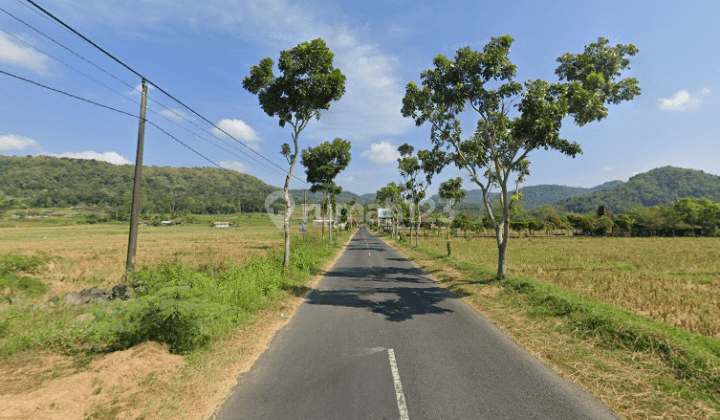 Tanah Kavling Dijual Areal Rancaekek Bebas Banjir 2