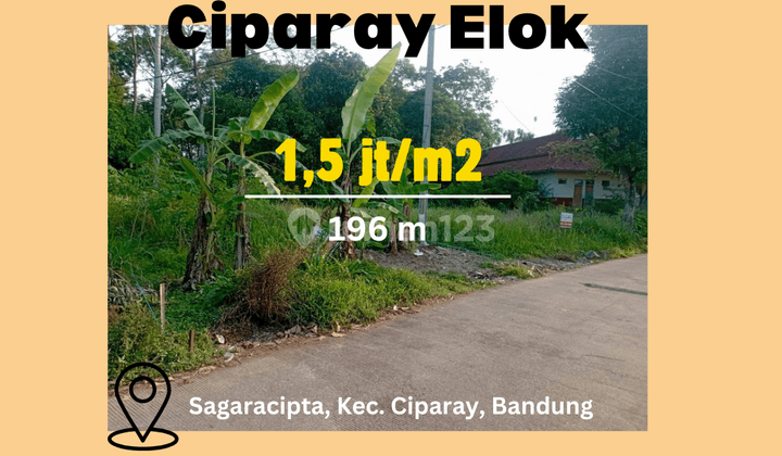 Tanah Dijual Luasan 196m2 Area Ciparay Cocok Untuk Hunian Rumah Atau Tempat Usaha 1