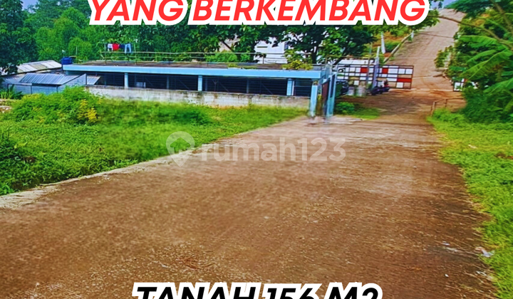 Kesempatan Langka Tanah Kavling dengan View Memukau Kesempatan Langka Tanah Kavling dengan View Memukau