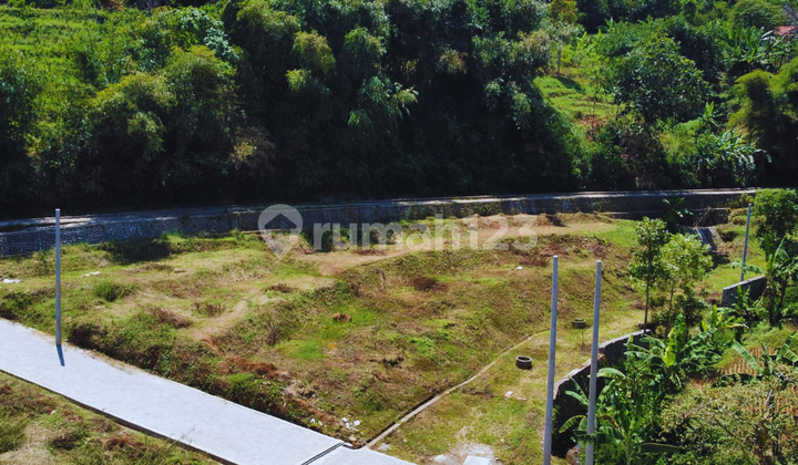 Hanya 5 Menit ke Perpustakaan Kampus! Strategis Ideal untuk Dosen atau Academic Family