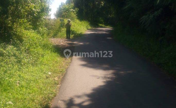 Tanah Kebun Kopi di Desa Bencoy , Cirenghas Sukabumi, 88.000 m² 2