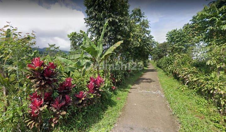 Tanah di Tamansari Bogor, Bogor SHM 96.007 m² 5