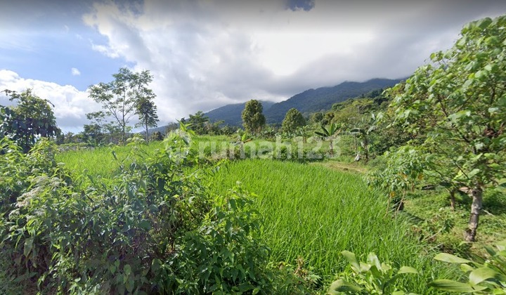 Tanah di Tamansari Bogor, Bogor SHM 96.007 m² 8