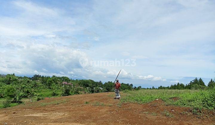 Di Jual Tanah Promo Akhir Tahun Di Puncak Bogor  2