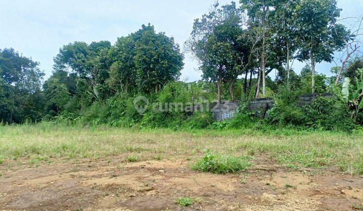 Di Jual Tanah Promo Akhir Tahun Di Puncak Bogor  4