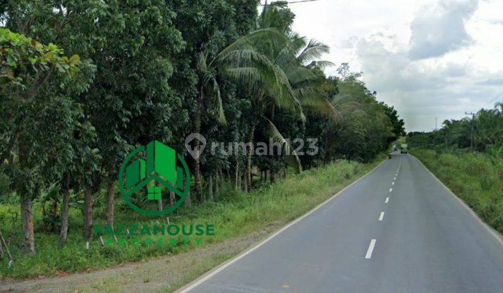Tanah Siap Bangun Lokasi Di Pinggir Jalan Lintas Sumatra Palembang Lampung 2